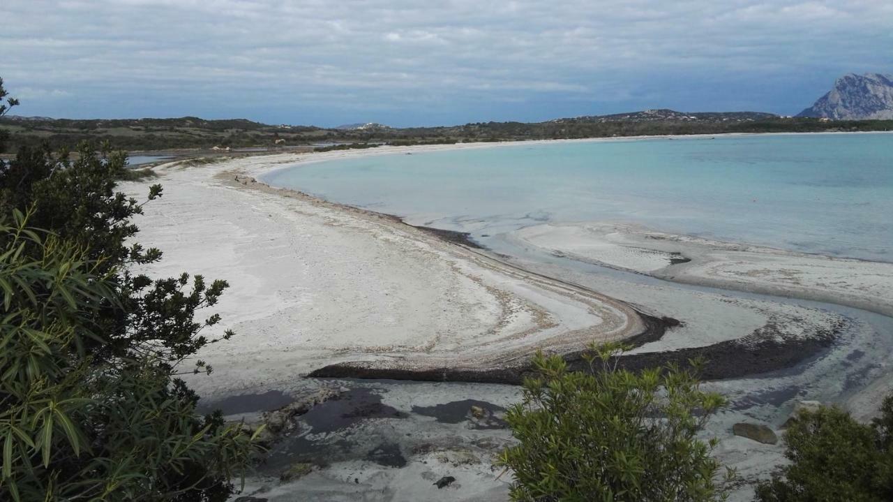 Appartamenti Sardegna Porto San Paolo (Sardinia) Exterior foto