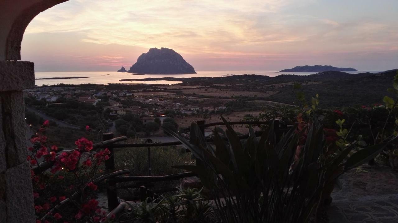 Appartamenti Sardegna Porto San Paolo (Sardinia) Exterior foto